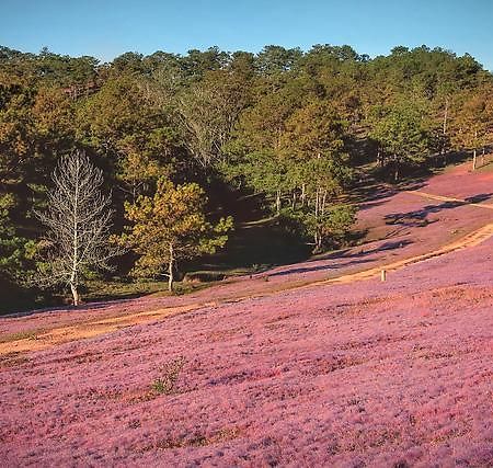 An Binh Homestay Dalat Bagian luar foto