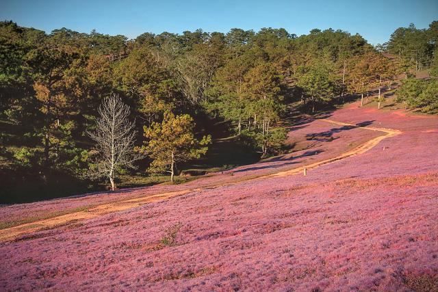 An Binh Homestay Dalat Bagian luar foto